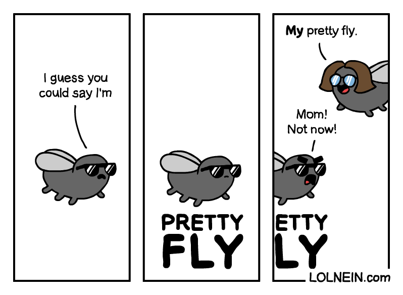 Pretty Fly